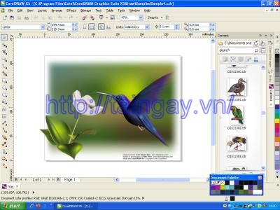 Download software CorelDRAW Graphics Suite X5 Graphic