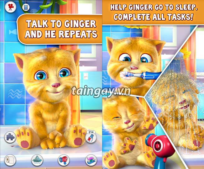 Talking Ginger for free download windows phone