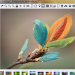 ImageGlass 2.0.1.5 - Phần mềm xem ảnh với tính năng hấp dẫn cho PC