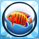 Planet Fish for iOS - Game giải trí cho iPhone