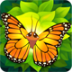 Flutter cho Android 1.97 - Game nuôi bướm cho Android